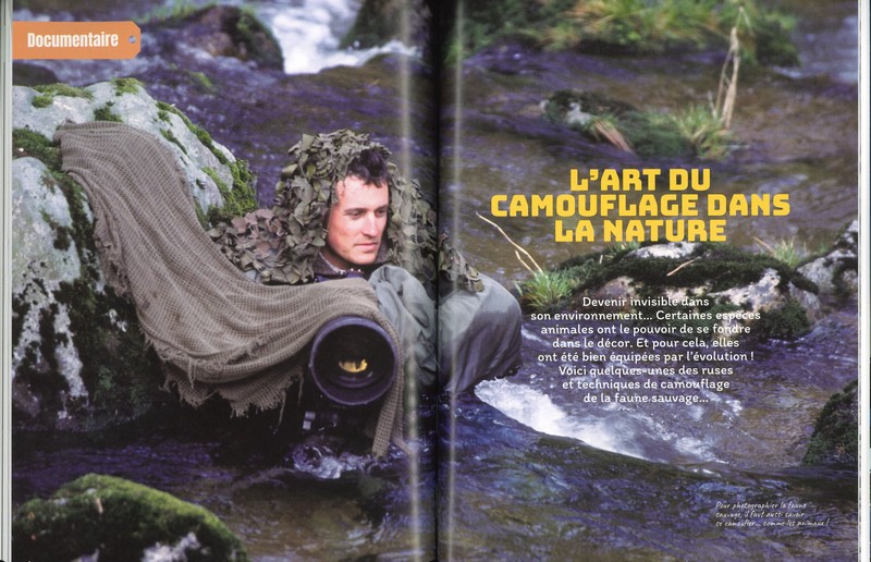 Approche les animaux sauvages avec Vincent Munier