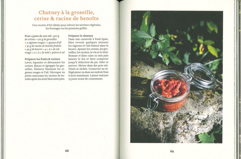 Cuisiner les racines sauvages