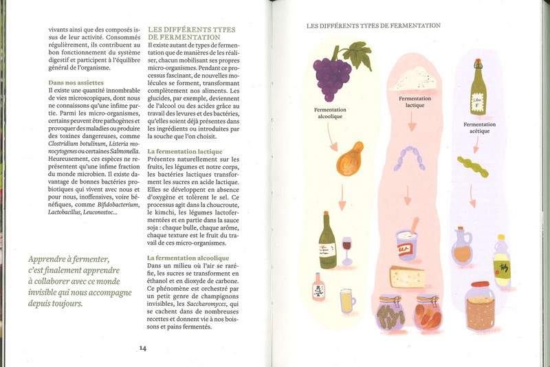 La fermentation
