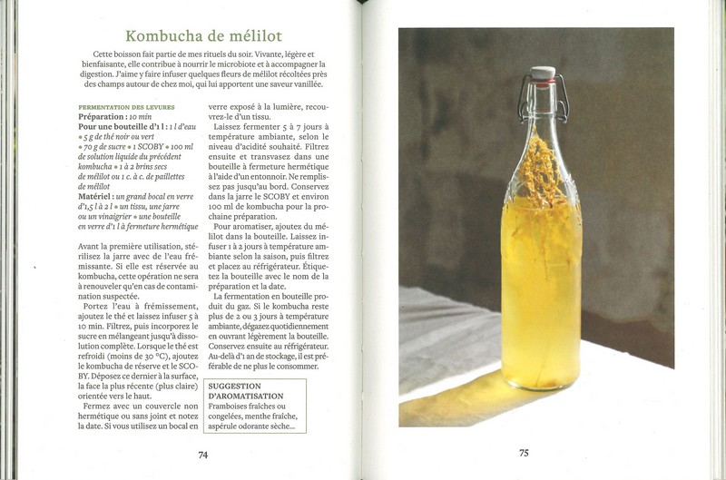 La fermentation