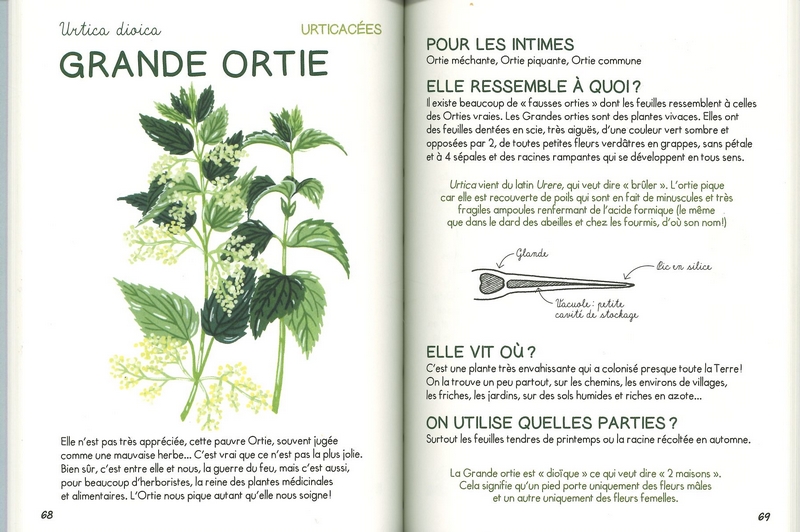 Mini-guide des plantes qui soignent