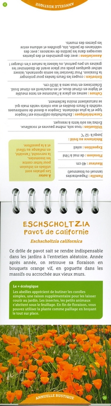 Les anti-sèches fleurs de printemps