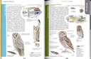 Le Guide nature les oiseaux