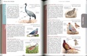 Le Guide nature les oiseaux
