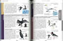 Le Guide nature les oiseaux