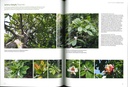Jardins jungle