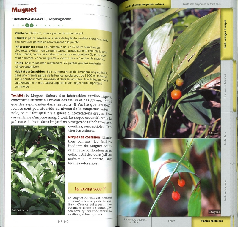 Guide des plantes toxiques & allergisantes