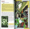 Guide des plantes toxiques & allergisantes