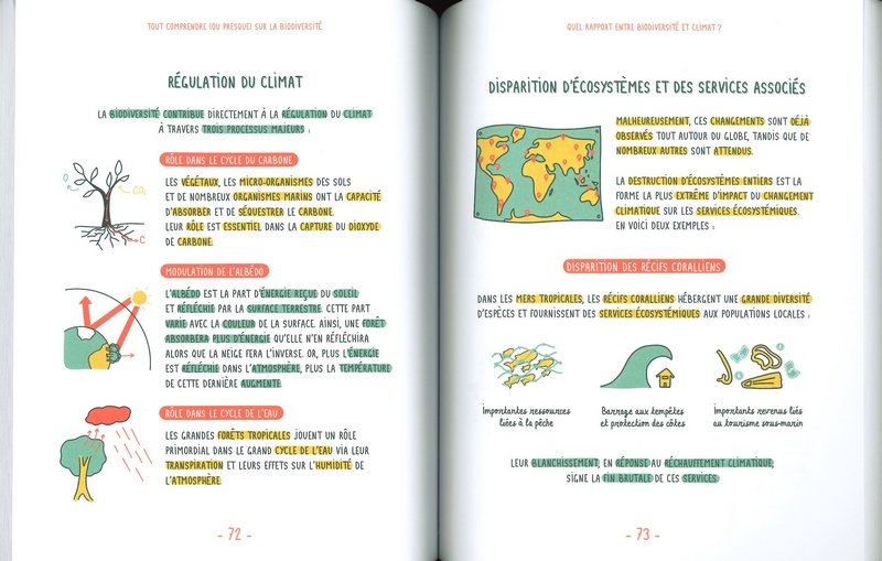 Tout comprendre (ou presque) sur la biodiversité