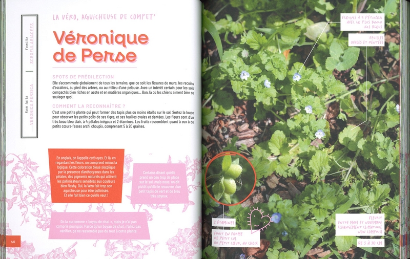 Guide botanique des plantes dont tout le monde se fout