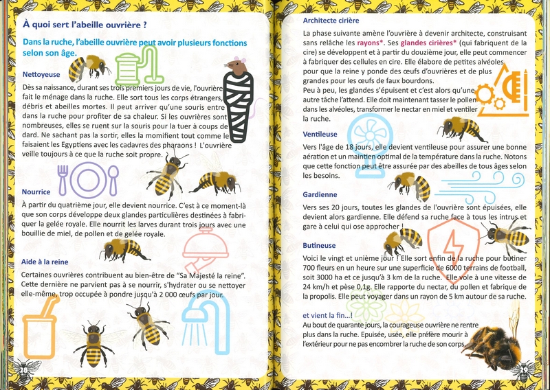 A la rencontre de nos abeilles