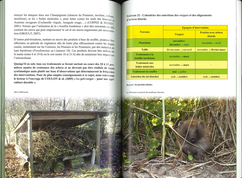 Vergers traditionnels et les alignements d'arbres têtards