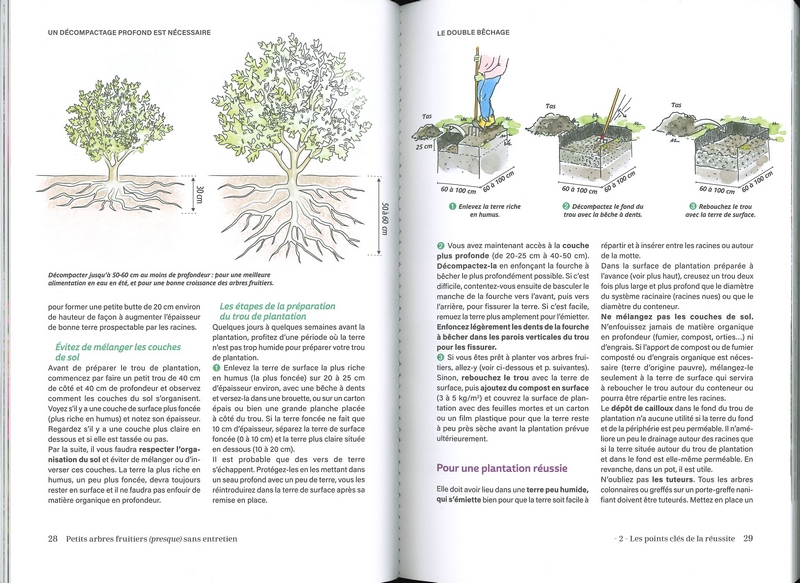 Petits arbres fruitiers (presque) sans entretien