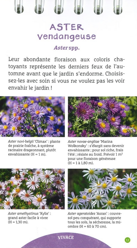 Les anti-sèches fleurs d'automne & d'hiver