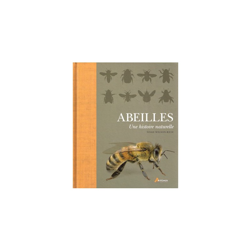 Abeilles, une histoire naturelle