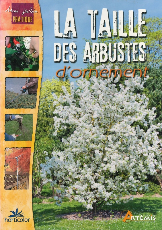 La taille des arbustes d'ornement