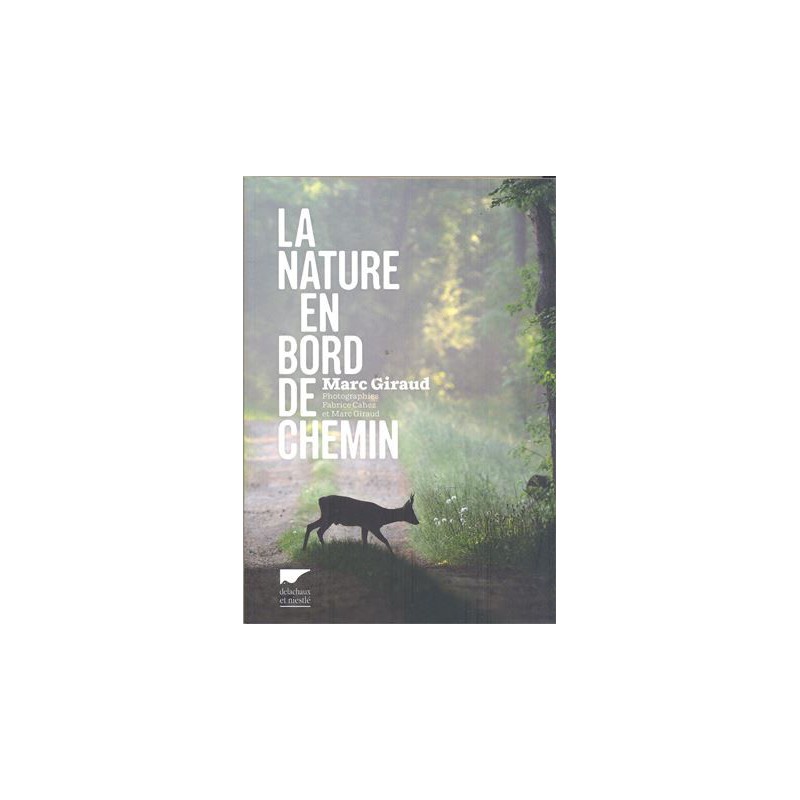 La nature en bord de chemin
