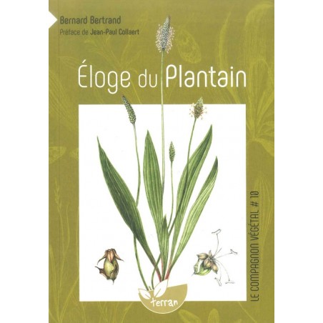 Eloge du plantain