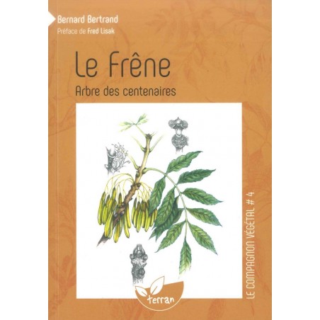 Le frêne, arbre des centenaires 