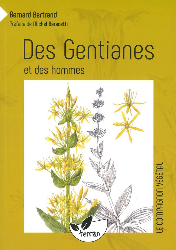 Des Gentianes et des hommes