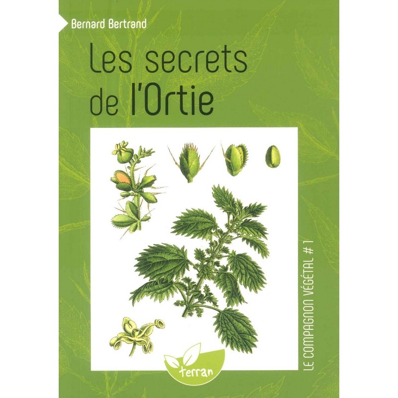 Les secrets de l'ortie