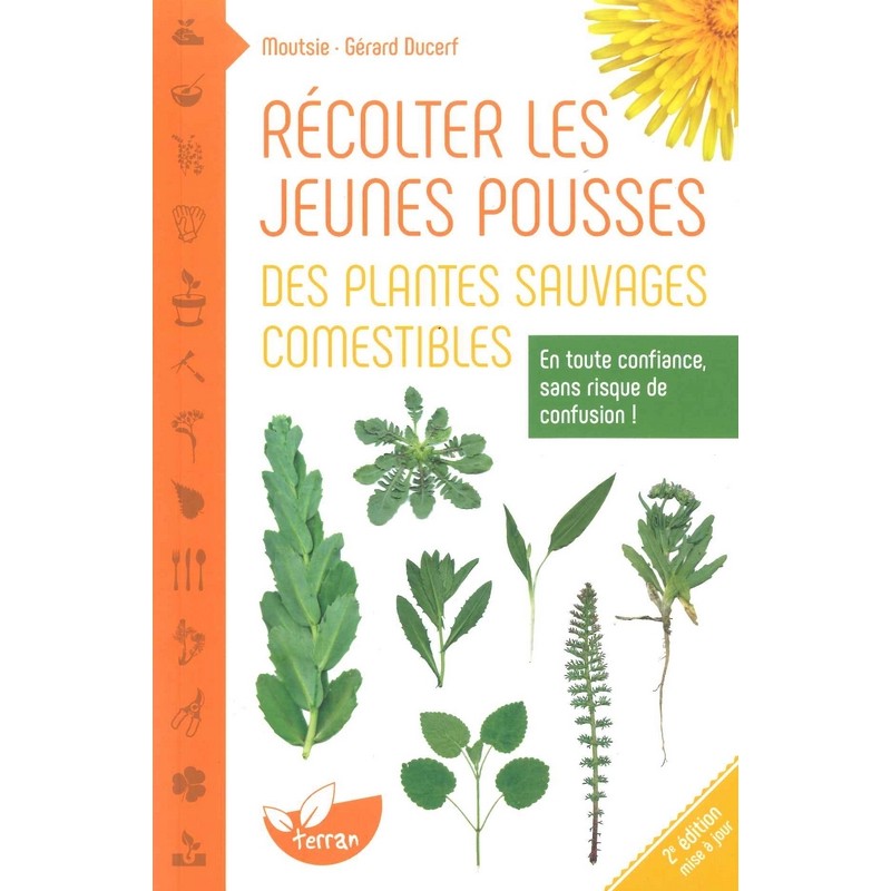 Récolter les jeunes pousses des plantes sauvages comestibles