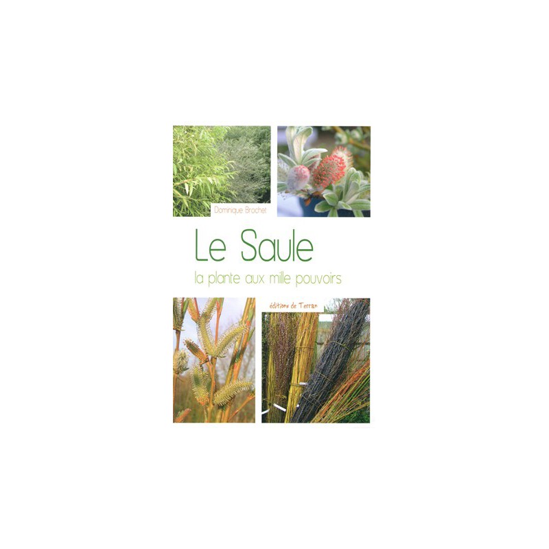 Le Saule