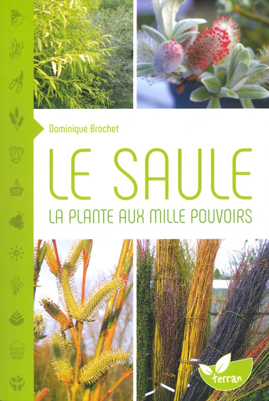 Le Saule