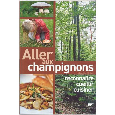 Aller aux champignons