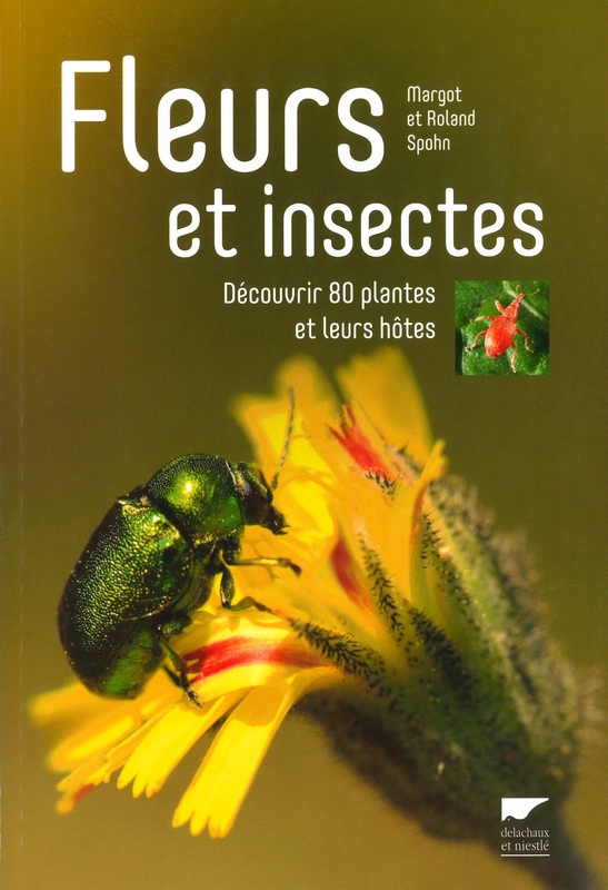 Fleurs et insectes