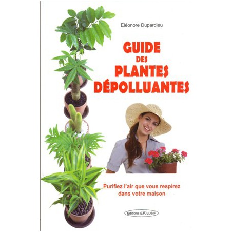 Guide des plantes dépolluantes