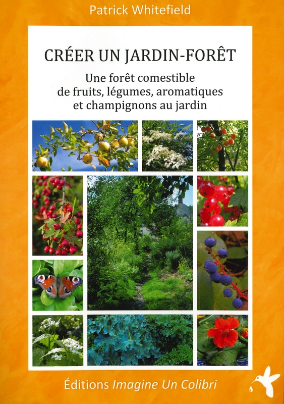 Créer un jardin forêt