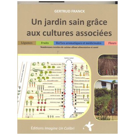 Un Jardin sain grâce aux cultures associées