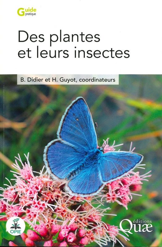 Des Plantes et leurs insectes