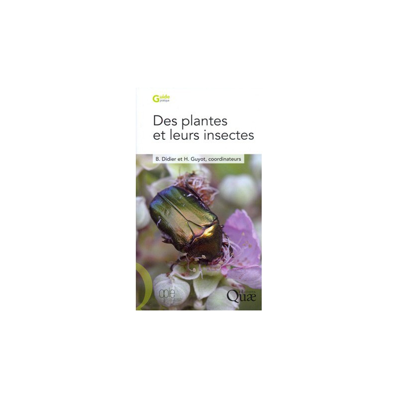 Des Plantes et leurs insectes