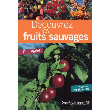 Découvrez les fruits sauvages