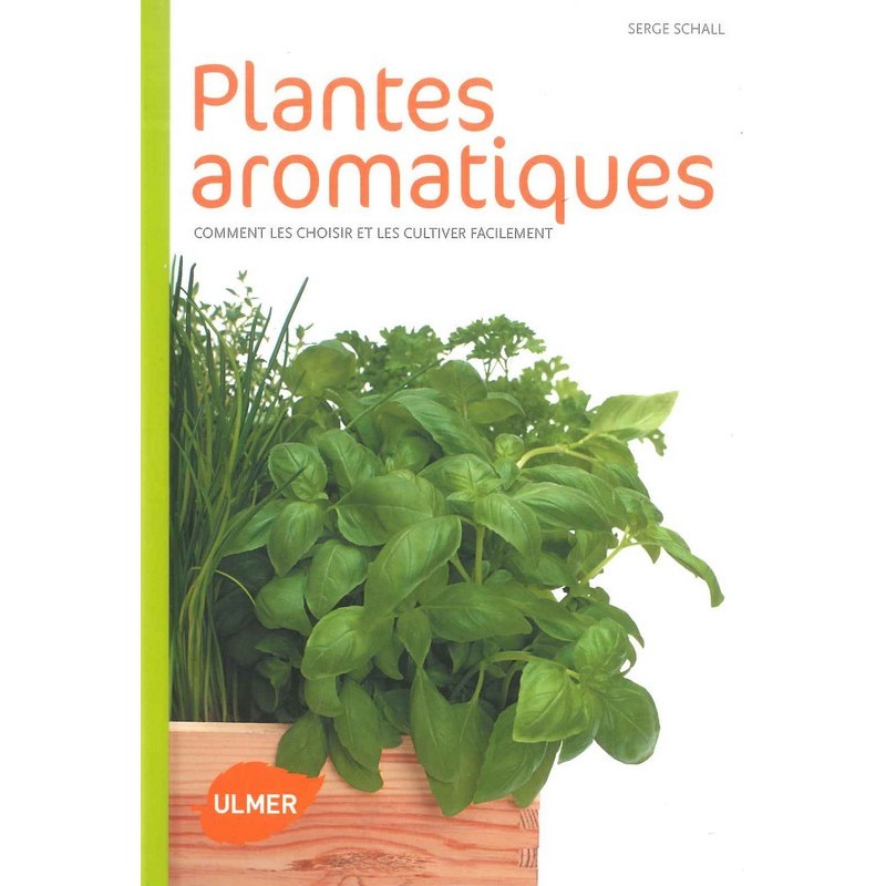Plantes aromatiques comment les choisir et les cultiver facilement