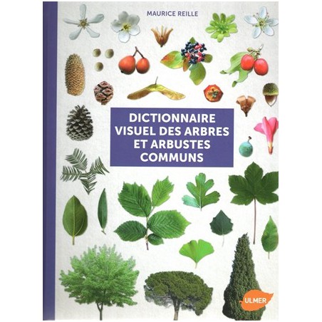 Dictionnaire visuel des arbres et arbustes communs