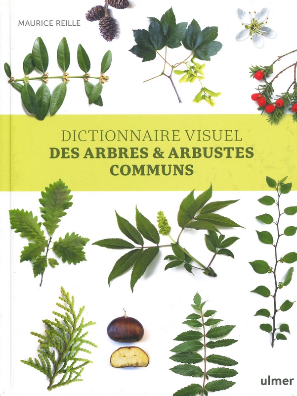 Dictionnaire visuel des arbres et arbustes communs