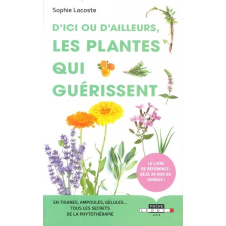 D’ici ou d’ailleurs, les plantes qui guérissent