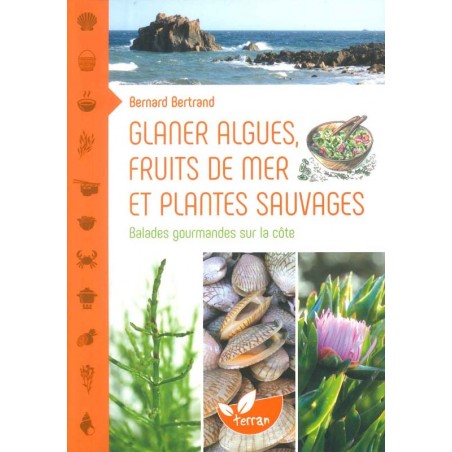 Glaner algues, fruits de mer et plantes sauvages