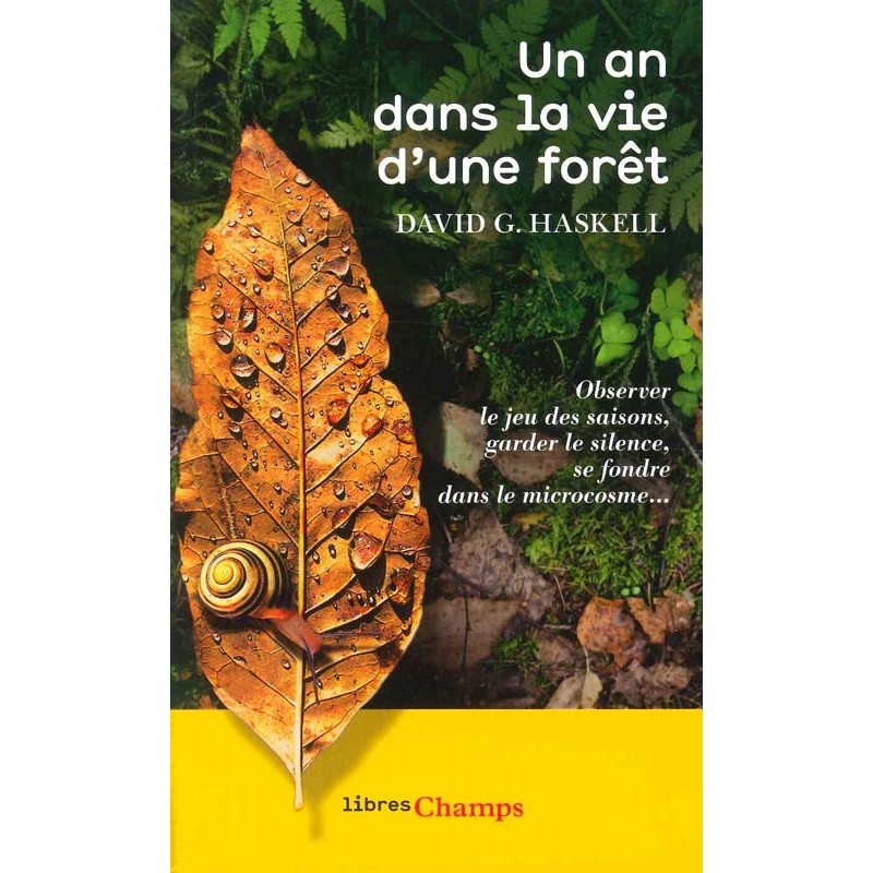 Un an dans la vie d’une forêt