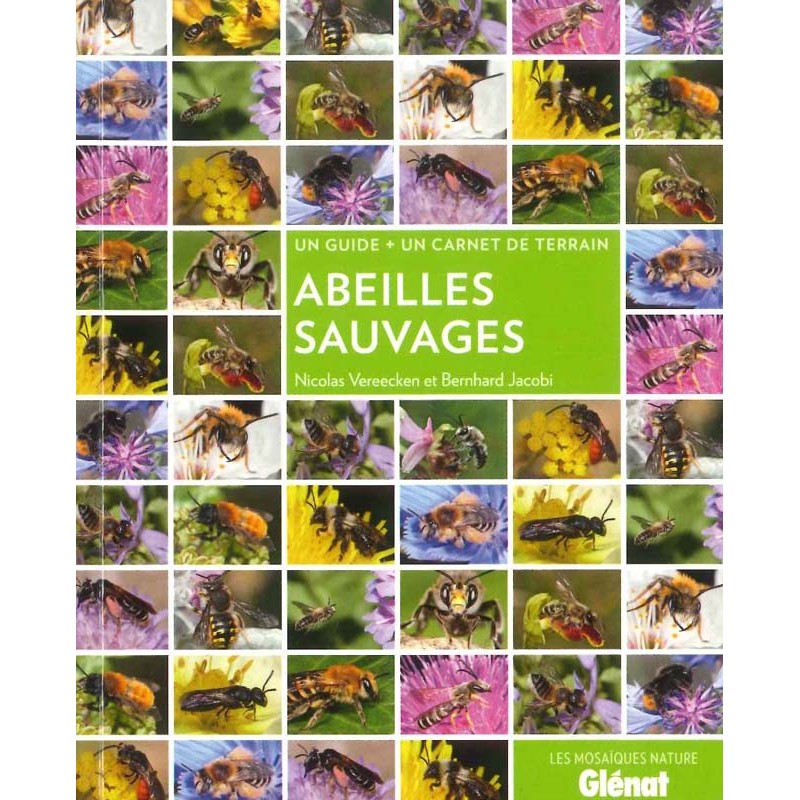 Abeilles sauvages