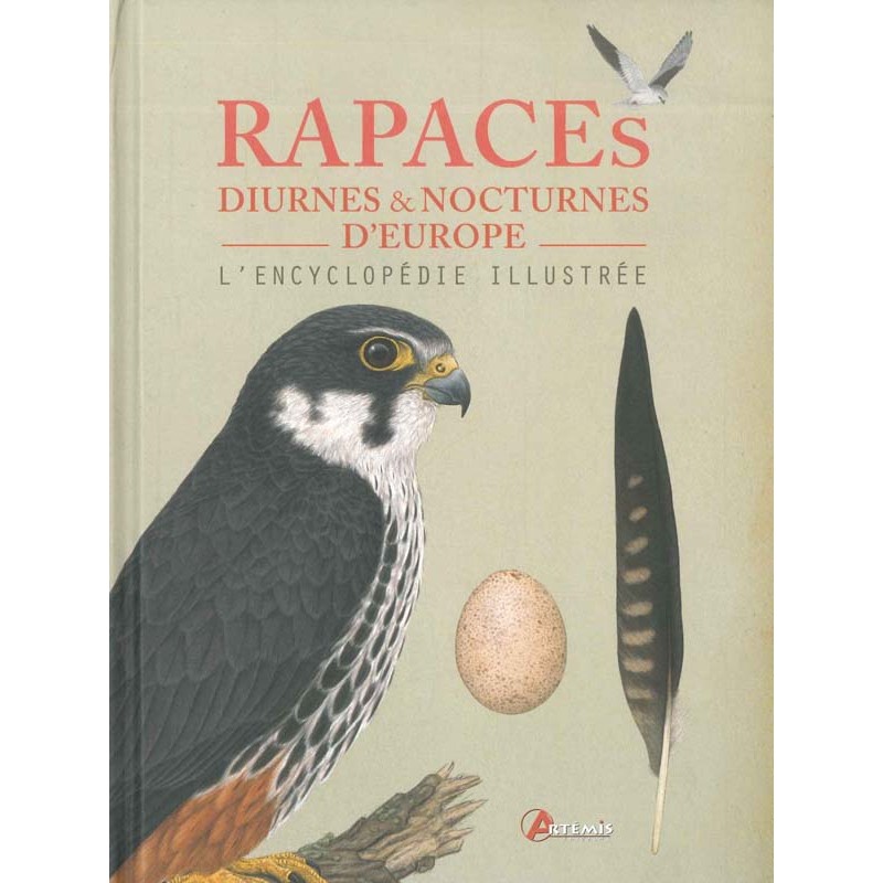 Rapaces diurnes & nocturnes d’Europe