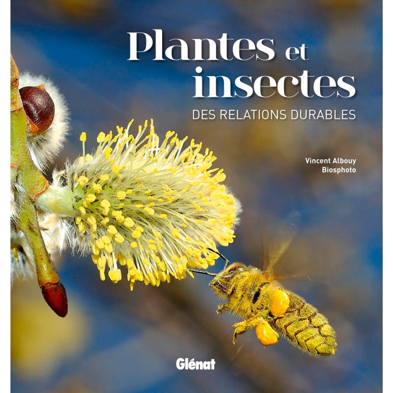 Plantes et insectes des relations durables