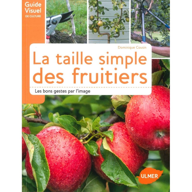 Taille simple des fruitiers