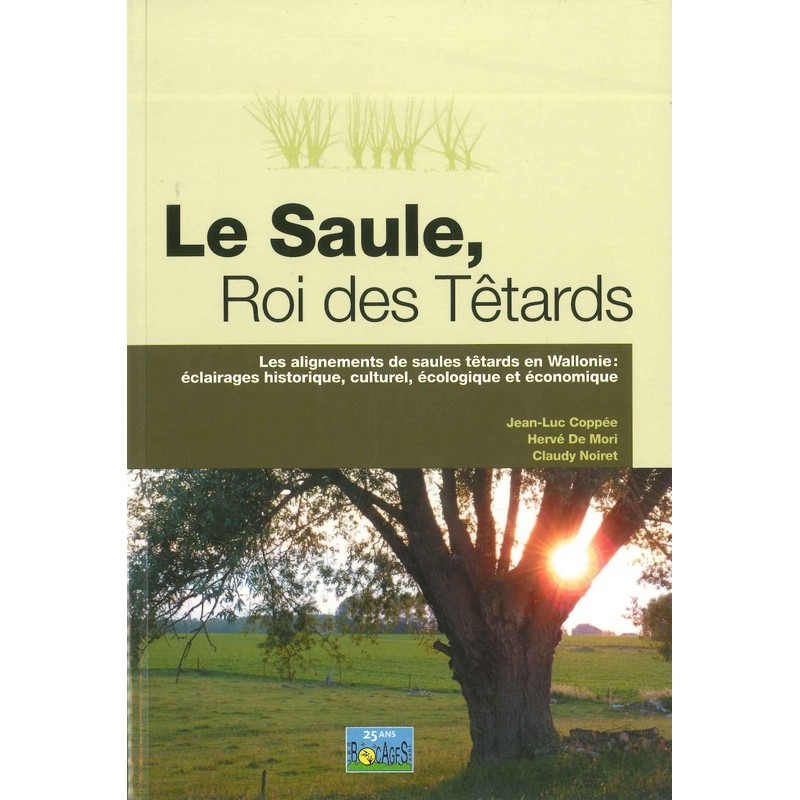 Saule, Roi des Têtards