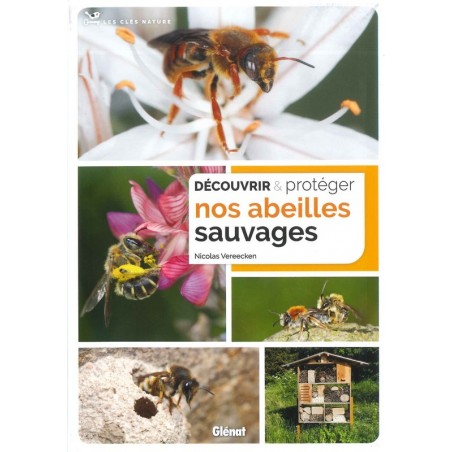 Découvrir & protéger nos abeilles sauvages