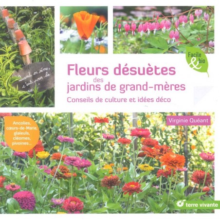 Fleurs désuètes des jardins de grand-mères