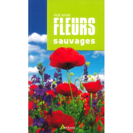 Fleurs sauvages